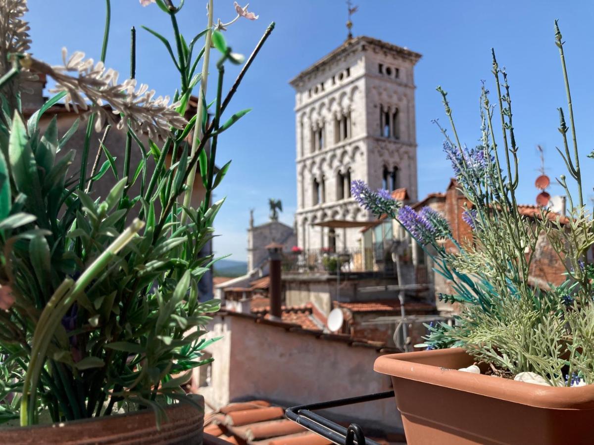 Terrazza San Michele - Affitti Brevi Italia Apartamento Lucca Exterior foto